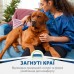 Фурмінатор FURminator для собак з короткою шерстю, розмір L 691656