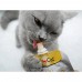 Лакомство для кошек GimCat Pudding 150 г, 40652