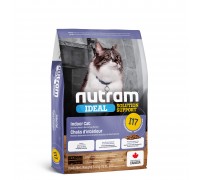 I17 _NUTRAM Ideal SS. Холістик для дор.котів, які мешкають в приміщенні. Рецепт з куркою і ціл. яйцями, 340г 
