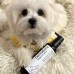 Шампунь для білих собак і котів з пробіотиками DermaBona ProbioDay Bright White, 200 мл 1884