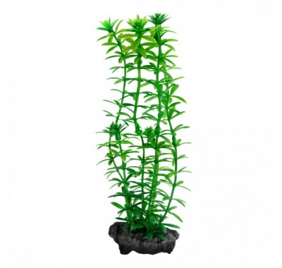 Tetra ANACHARIS DecoArt Plant M 23 см