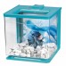 Hagen Betta Kit EZ Care Акваріум для півника, чорний 2,5 л