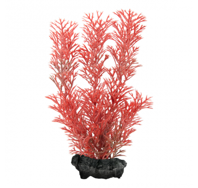 Tetra DecoArt Plantastics Red Foxtail S 15см