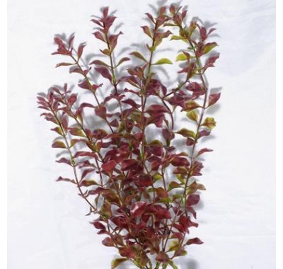 Tetra Red Ludwigia пластиковое растение 38см (ХL)