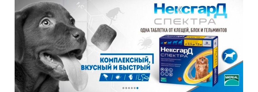 Нексгард