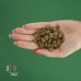 Сухий корм для стерилізованих котів BRAVERY Salmon Adult Cat Sterilized з лососем 600 г