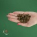 Сухий корм для собак дрібних порід BRAVERY Salmon Mini Adult з лососем 2 кг