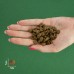 Сухой корм для собак мелких пород BRAVERY Iberian Pork Mini Adult с иберийской свининой 2 кг
