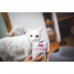 Вологий корм Brit Care Cat Pouch для котів філе в соусі, пікантний лосось, 85 г 100530/0525