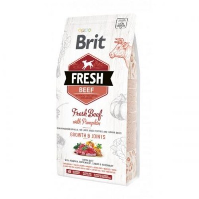 Сухий корм Brit Fresh Beef With Pumpkin Puppy Large свіжа яловичина з гарбузом для цуценят великих порід 2,5 кг, 170992