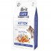 Сухий корм Brit Care Cat by Nutrition Kitten Gentle Digestion Strong Immunity для кошенят з лососем, 7 кг 172543