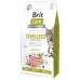 Сухий корм Brit Care Cat by Nutrition Sterilized Immunity Support для стерилізованих кішок зі свининою, 7 кг 172546