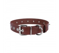 Нашийник для Собак Шкіряний BronzeDog Classic зі Сталевою Фурнітурою та Шипами Коричневий
