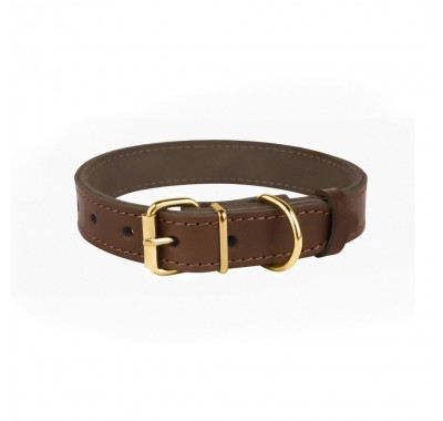 Нашийник для Собак Шкіряний BronzeDog Classic із Золотистою Фурнітурою та Заклепками Коричневий