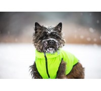 Курточка двостороння AiryVest, жовто-салатова.