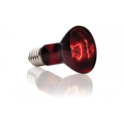 Exo-Terra Infrared Інфрачервона лампа R20/75W для тераріуму РТ2142