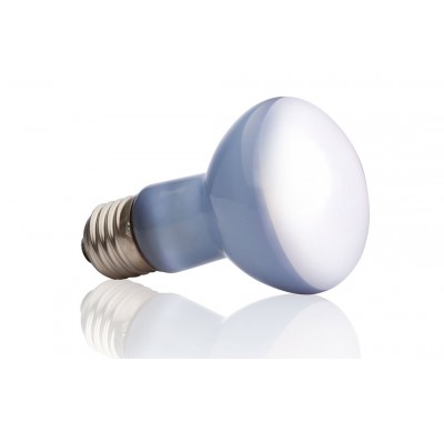 Exo-Terra Daylight Basking Spot Лампа для інтенсивного обігріву рептилій R20/50W РТ2131