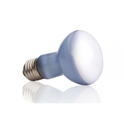 Exo-Terra Daylight Basking Spot Лампа для інтенсивного обігріву рептилій R20/50W РТ2131