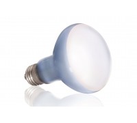 Exo-Terra Daylight Basking Spot Лампа для интенсивного обогрева рептилий R20/75W РТ2132