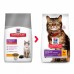 Hill's SP Feline Adult Sensitive Stomach & Skin с курицей 300 г