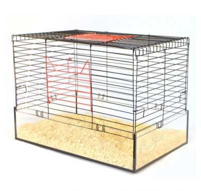 Клітина ЛОРІ КРОЛИК -55 GLASS /цинк/ (550х350х350)