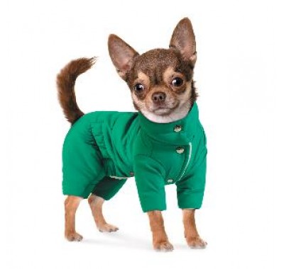 Pet fashion Комбінезон ЦИТРУС M
