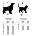 Pet fashion Комбінезон ДЖУДІ S