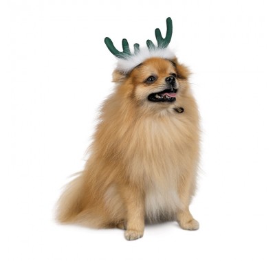 Аксесуар для собак Pet Fashion Ріжки DEER M-L PR243217