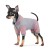 Pet fashion Костюм РІККІ XS-2