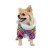Pet fashion Комбінезон AMAZE XS