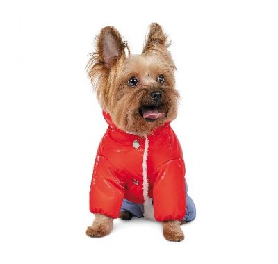 Pet fashion Костюм PRETTY XS