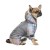 Pet fashion Костюм для собак FUN ХXS