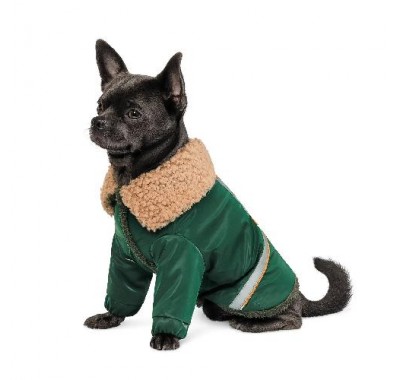 Pet fashion Костюм JOY XS