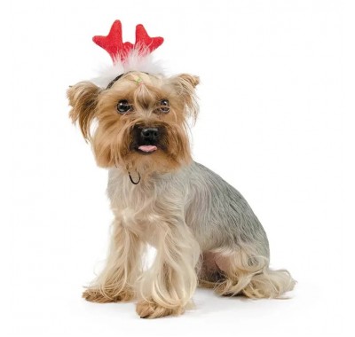 Аксесуар для собак Pet Fashion Ріжки PR240452