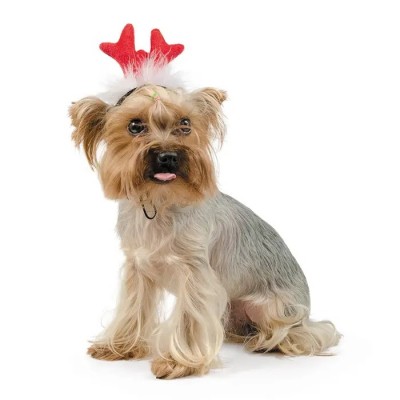 Аксесуар для собак Pet Fashion Ріжки PR240452