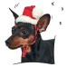 Ковпак Новорічний Pet fashion S PR240454