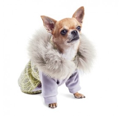 Pet fashion Толстовка ТИФФАНИ S