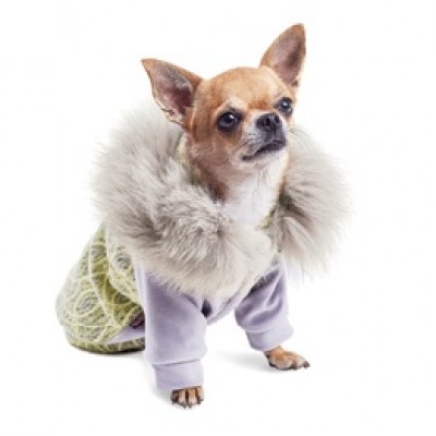 Pet fashion Толстовка ТІФФАНІ S