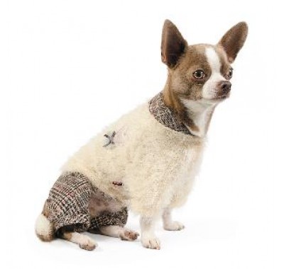 Pet fashion Костюм ФЛЕР XS