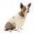 Pet fashion Костюм ФЛЕР XS