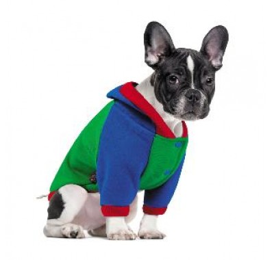 Pet fashion Толстовка КУРТ M-2