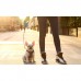 Повідець - рулетка PETKIT Go Shine Dog Retractable Leash 2.8 (стрічка) P2101