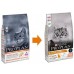 ProPlan ELEGANT с лососем для кошек с чувствительной кожей 1,5 кг