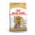 Royal Canin YORKSHIRE ADULT 500 г