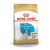 Royal Canin JACK RUSSEL PUPPY 1 кг