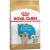 Royal Canin GOLDEN RETRIEVER PUPPY 3 кг