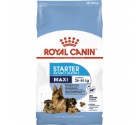 Royal Canin MAXI STARTER 1 кг