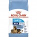 Royal Canin MAXI STARTER 1 кг