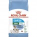 Royal Canin MINI STARTER 1 кг