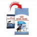 Royal Canin MAXI PAPPY 1 кг